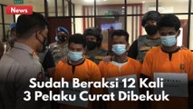 Sudah Beraksi 12 Kali, 3 Pelaku Curat Di Area PT PHR Dibekuk Polda Riau !!