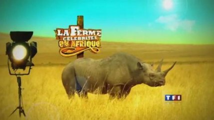La Ferme Célébrités : Teaser n°2