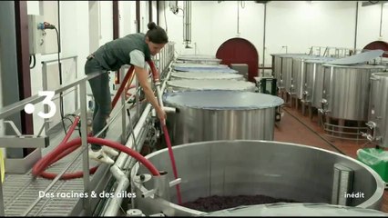 Des racines et des ailes - 26 janvier