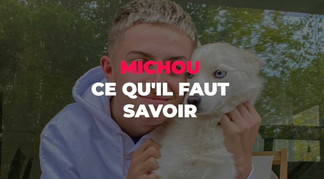 Est ce Que Le Youtubeur Michou Est Mort J'ai mal" : Michou évoque sans filtre sa douleur après son opération des  dents de sagesse