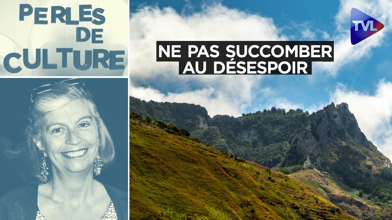 Perles de Culture n°335 : Ne pas succomber au désespoir