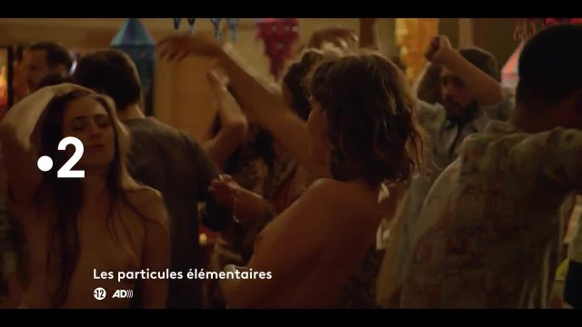 Les particules élémentaires - 31 janvier