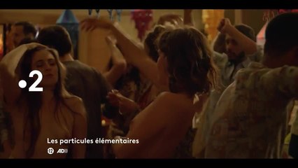 Les particules élémentaires - 31 janvier