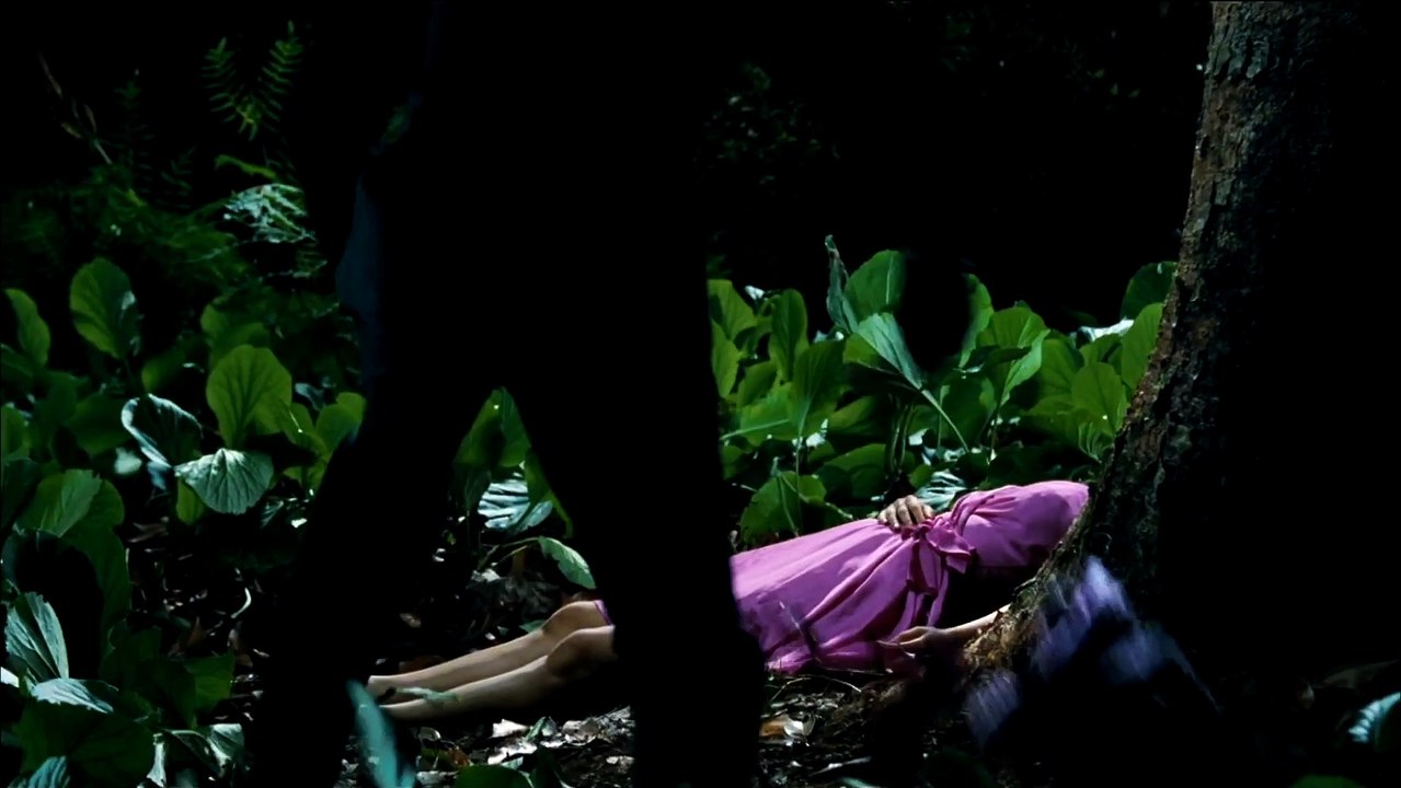 Die haut, in der ich wohne film