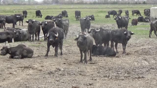 Emekli olup köyüne yerleşti, kurduğu kooperatif kadınlara ek gelir sundu