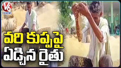 Paddy Farmer Cries In Suryapet Market For Minimum Paddy Purchasing Price _ V6 News