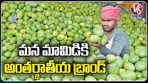 Central Govt Decided To Make Telangana Mango As International Brand, Allocated Rs.100 Cr | V6 News