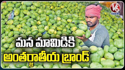 Central Govt Decided To Make Telangana Mango As International Brand, Allocated Rs.100 Cr | V6 News