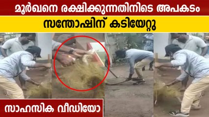 കൊല്ലത്ത് മൂര്‍ഖന്റെ കടിയേറ്റിട്ടും പിടികൂടി കുപ്പിയിലാക്കി സന്തോഷിന്റെ സാഹസികത | Oneindia Malayalam