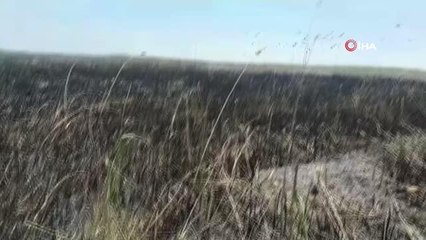 Son dakika haberi | Göksu Deltasında çıkan yangın kendiliğinden söndü