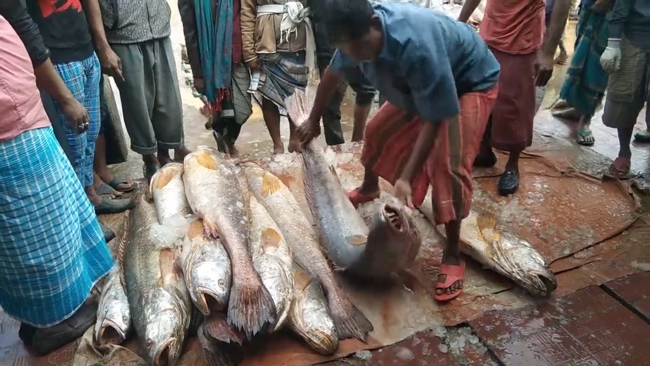 The best Popular Fish Market Chittagong, in Bangladesh video Dailymotion