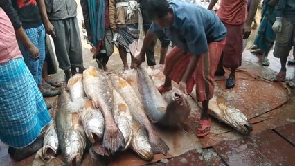 The best Popular Fish Market Chittagong, in Bangladesh