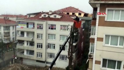 Kentsel dönüşümde '60 yıllık' ağaç kesildi