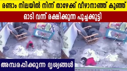 രണ്ടാം നിലയിൽ നിന്നും വീഴാൻ പോയ കുഞ്ഞിനെ സാഹസികമായി രക്ഷിക്കുന്ന പൂച്ചക്കുട്ടി