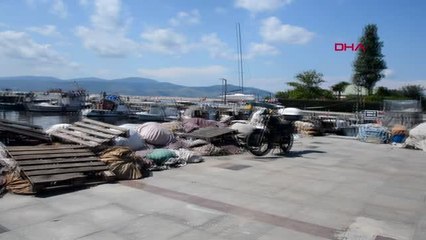 MARMARA DENİZİ'NDE, TOKSİK TEHLİKESİ