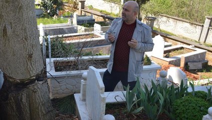 Mezarlıkta baltayla parçalanan ağaç kabusları oldu! Mezar başında korkuyla dua ediyorlar