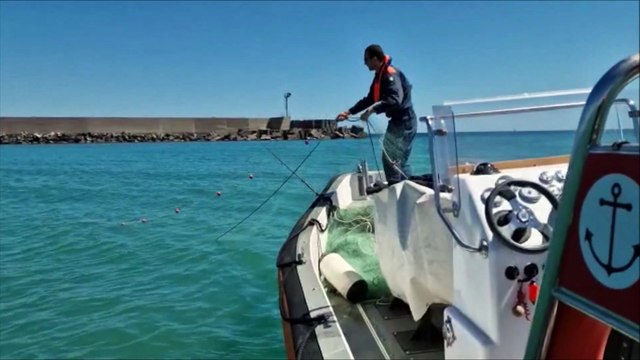 Catania, sequestrati oltre 600 chili di pesce illegale