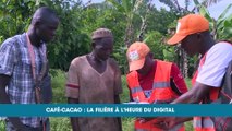 Cartes de producteurs : la filière café cacao à l’heure du digital (Eco plus)
