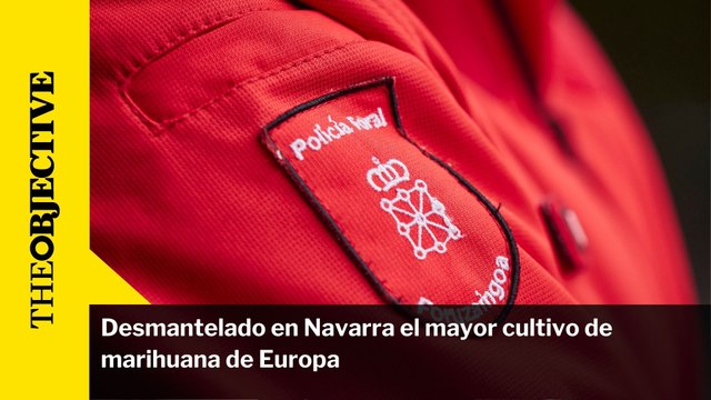Desmantelado en Navarra el mayor cultivo de marihuana de Europa