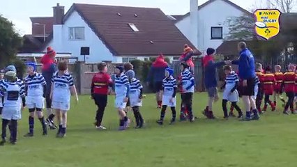 Bangor Hosts Aviva Minis Festival
