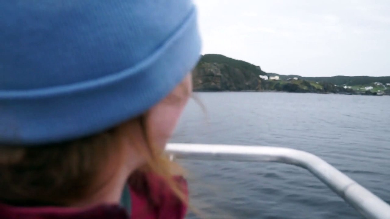 Icebergs in Twilingate NL