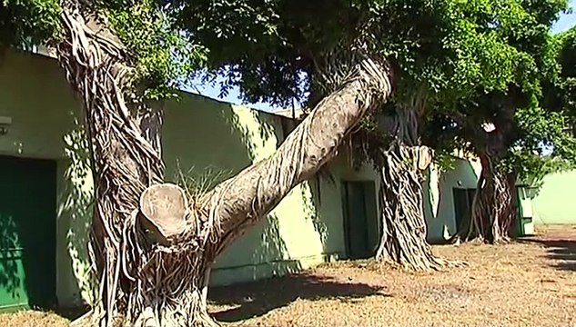 Messina, Giardino Corallo: il Comune prova a rilanciarlo