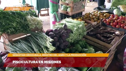 Situación del agro en Misiones