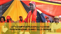 Let's campaign peacefully and avoid fear-mongering, Gumbo tells Orengo