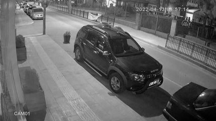 Martılar "Fiko" ve "Çiko"nun araba üzerindeki yumurta nöbeti güvenlik kamerasında