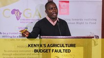 Kenya's agriculture budget faulted