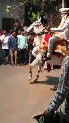लोकोत्सव ढीचकड़ा : कुंवारा परण्या कोई मत चालज्यो..., बाकी सब म्हारी बारात में चालो...