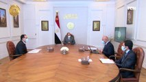 الرئيس السيسي يجتمع مع رئيس الوزراء ووزير النقل ويتابع تطوير خطط الربط النهري بين مصر والسودان