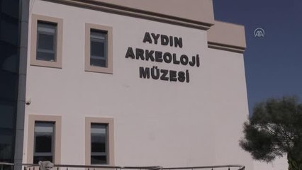 Aydın Arkeoloji Müzesindeki inceleme tamamlandı