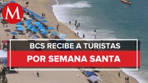 En estas vacaciones de Semana Santa ¿Qué hacer en Baja California Sur?