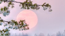 The rise of the Pink Moon on April 16