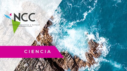 “Estrella de Mar”, tiene la misión de educar a las personas sobre el océano