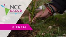 En Costa Rica una fundación planta árboles en memoria a las víctimas del COVID-19