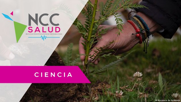 En Costa Rica una fundación planta árboles en memoria a las víctimas del COVID-19