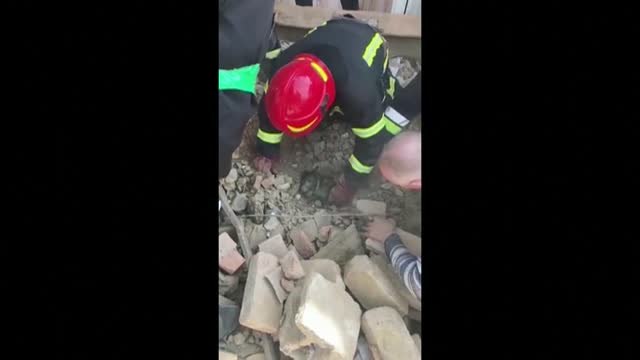 Rescatan un cachorro bajo los escombros de una vivienda en Ucrania