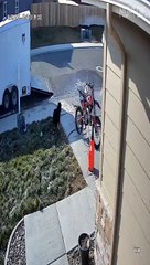 Guy Unloading Trailer Falls on Ramp