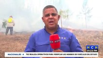 Bomberos combaten voraz incendio forestal a inmediaciones del “Campamento Bethel”, Amarateca
