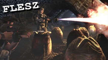 FLESZ - 6 lipca 2011