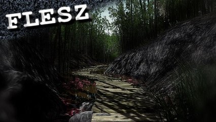 FLESZ - 24 sierpnia 2012