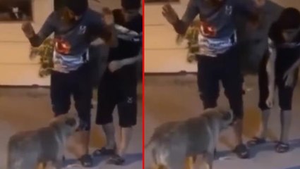 Kendilerine saldıran köpek yüzünden bir anda türkücüye dönen gençler büyük ilgi gördü