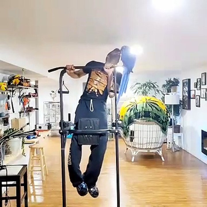 Birds Help with Workout