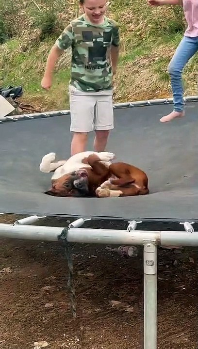 Duke Loves to be Bounced Around