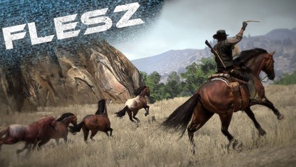 FLESZ - 31 lipca 2013