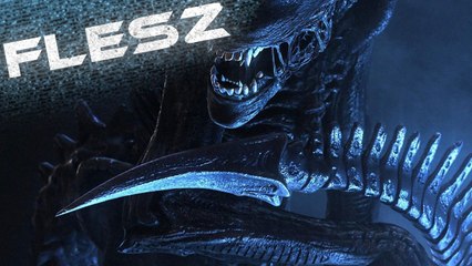 FLESZ - 22 października 2013