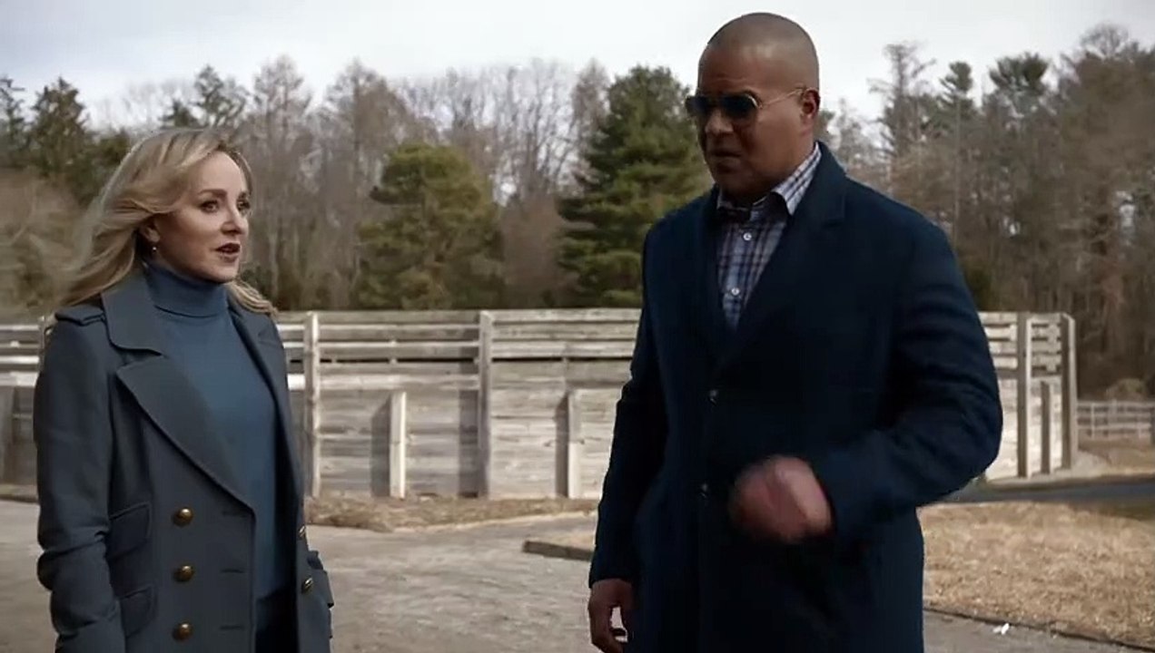 Bull 6x17