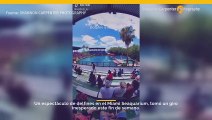 FL: Captado en cámara, entrenador de ataques de delfines durante el espectáculo Flipper el sábado mientras las familias miran